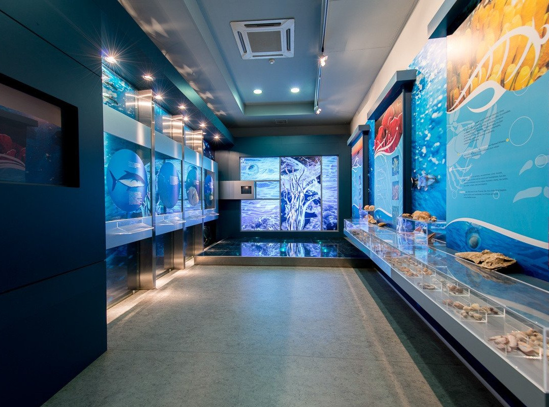 Alexandroupolis Natural History Museum-亚历山德鲁波利必去景点