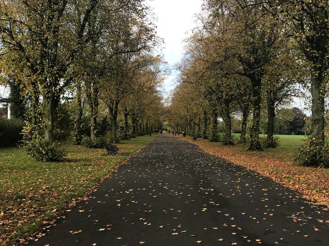 Haslam Park-普雷斯顿必去景点