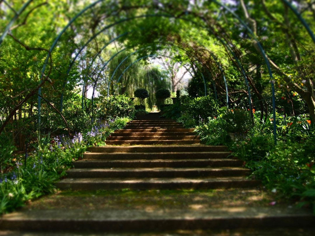 The Foxglove & Co Gardens景点图片