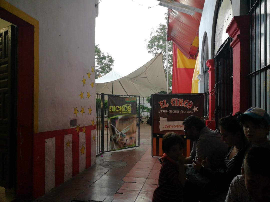 Compania Circo Teatro景点图片