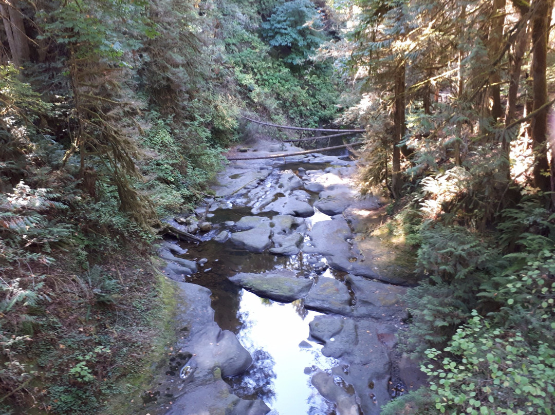 Kanaka Creek Riverfront Trail-枫树岭必去景点