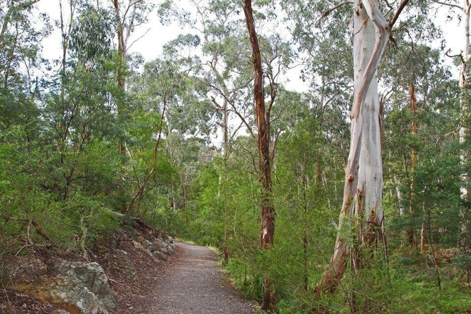 Yarran Dheran Nature Reserve景点图片