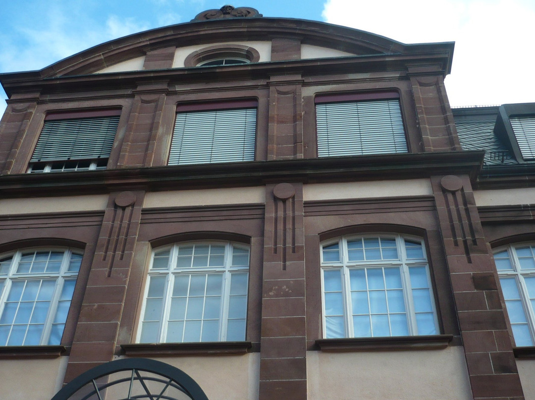 Museum Natur und Mensch景点图片