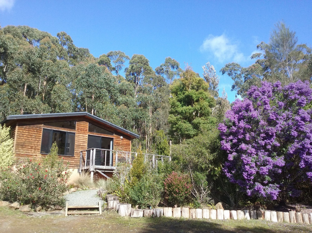 Southern Forest Accommodation主图