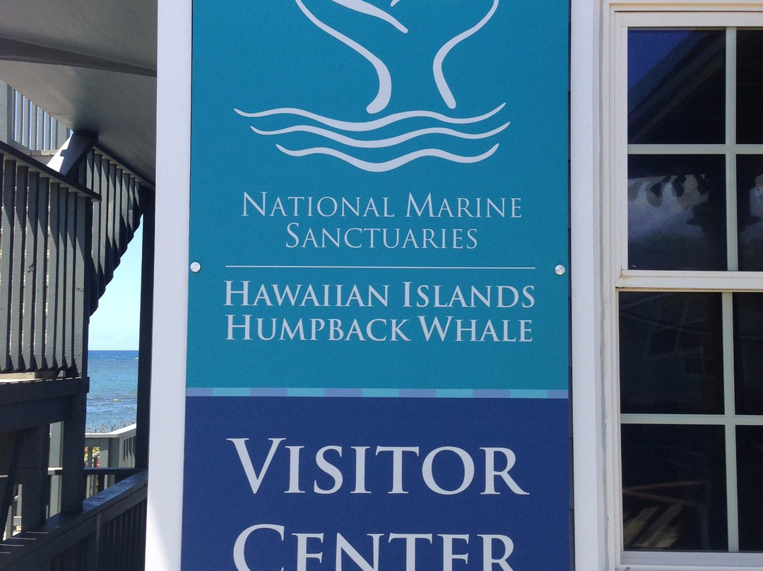 夏威夷座头鲸国家海洋保护-基黑必去景点