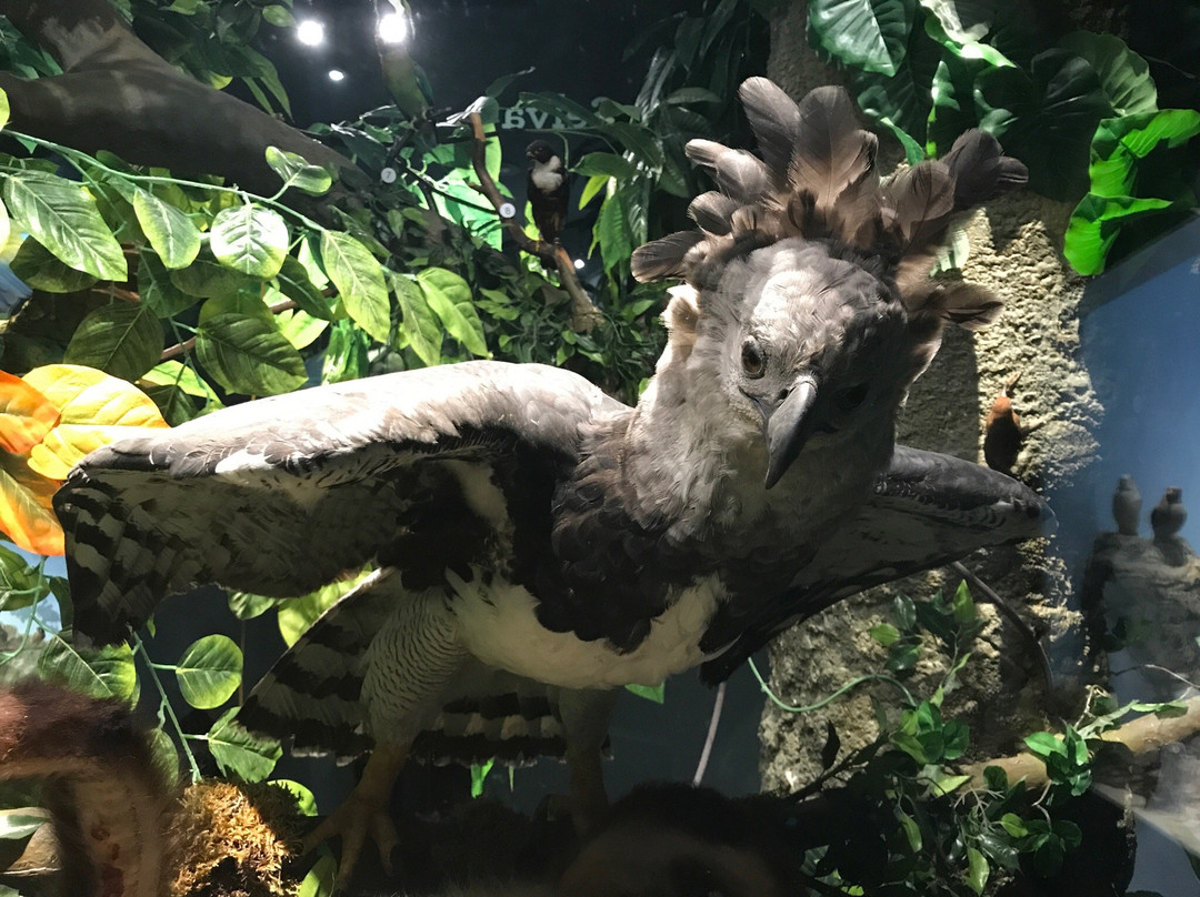 Museo de las Aves-萨尔蒂必去景点