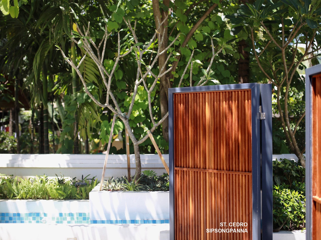 来町栢颐美宿主图