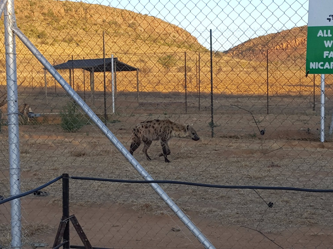 Loebies Gasteplaas-贝拉贝拉必去景点
