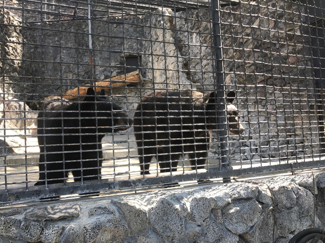 Zoo Idaho-波卡特洛必去景点