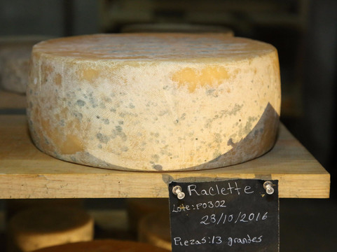 Queseria Neole-Tequisquiapan必去景点