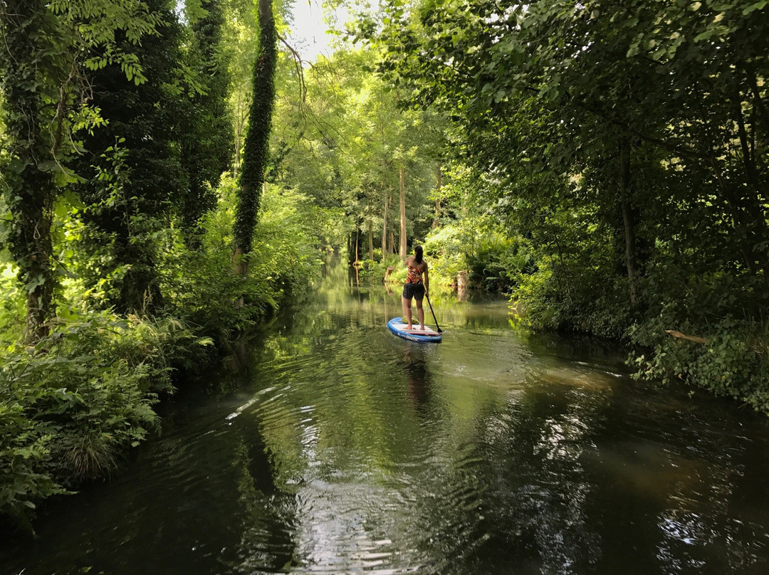 Stand Up Paddling Spreewald
