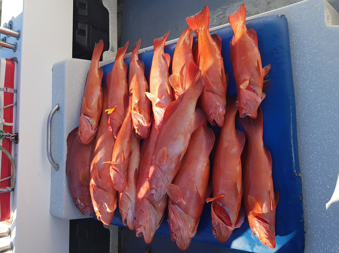 Fishing Offshore 1770 Charters-1770镇必去景点