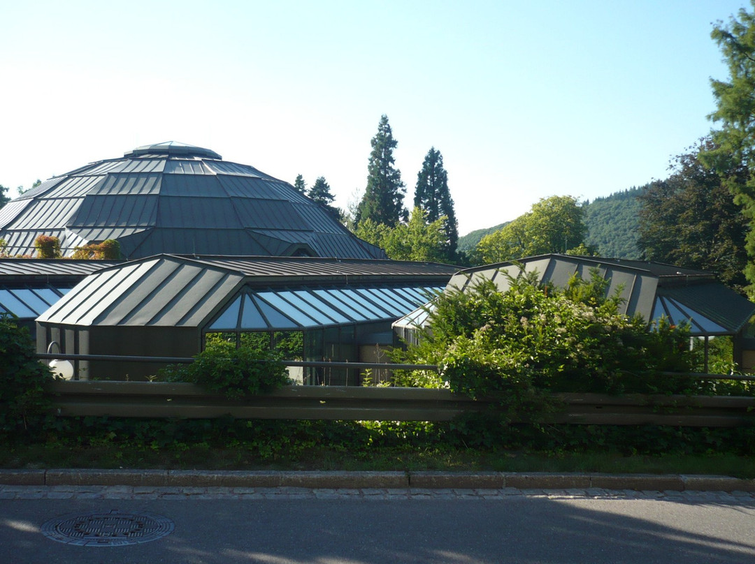 Hotel & Kaffeehaus Siegle