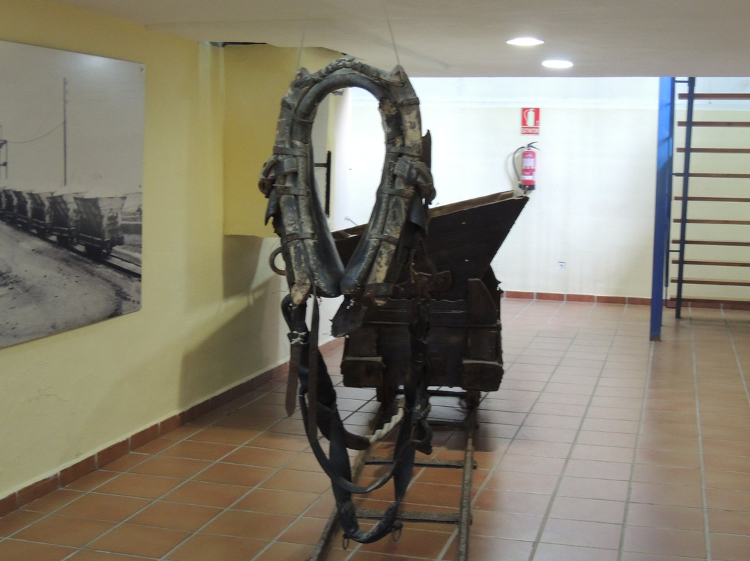 Museo de La Sal景点图片