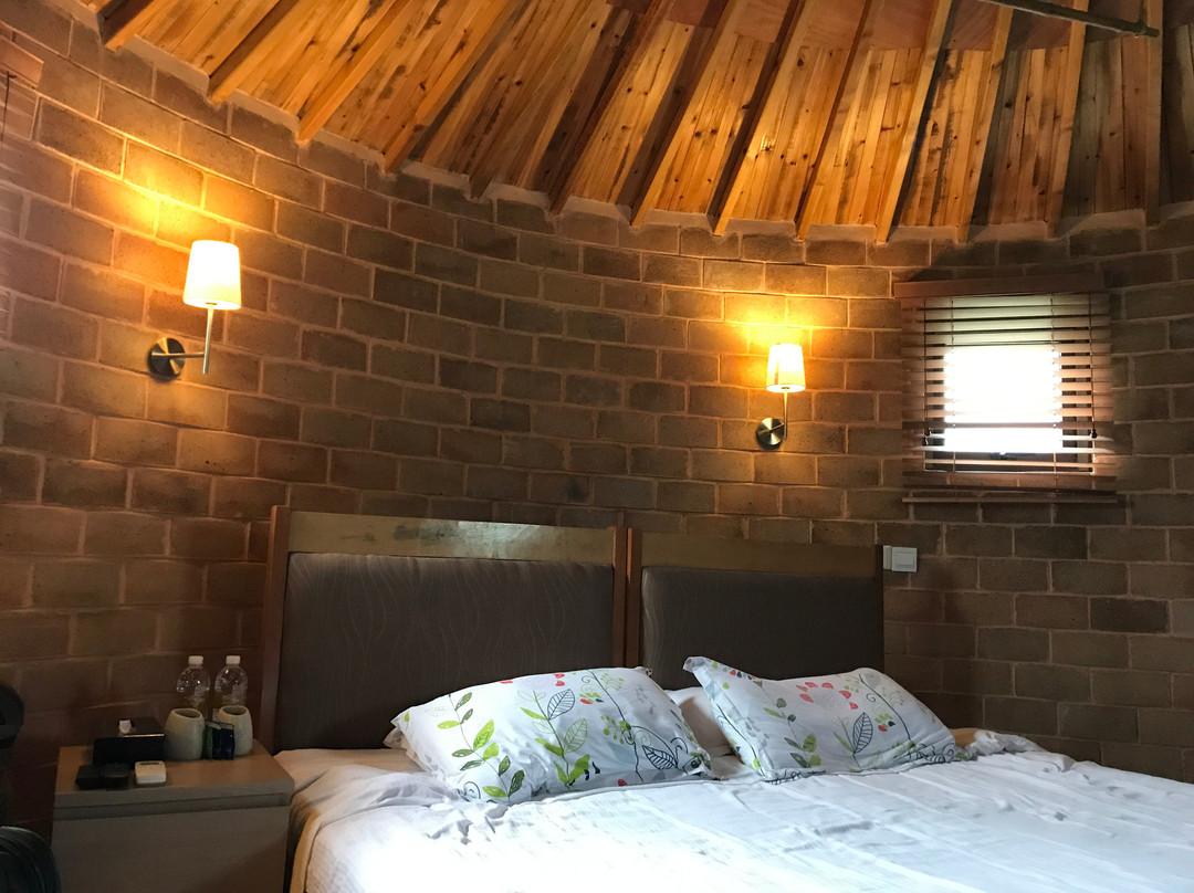 泰生天地-崇明县必去景点