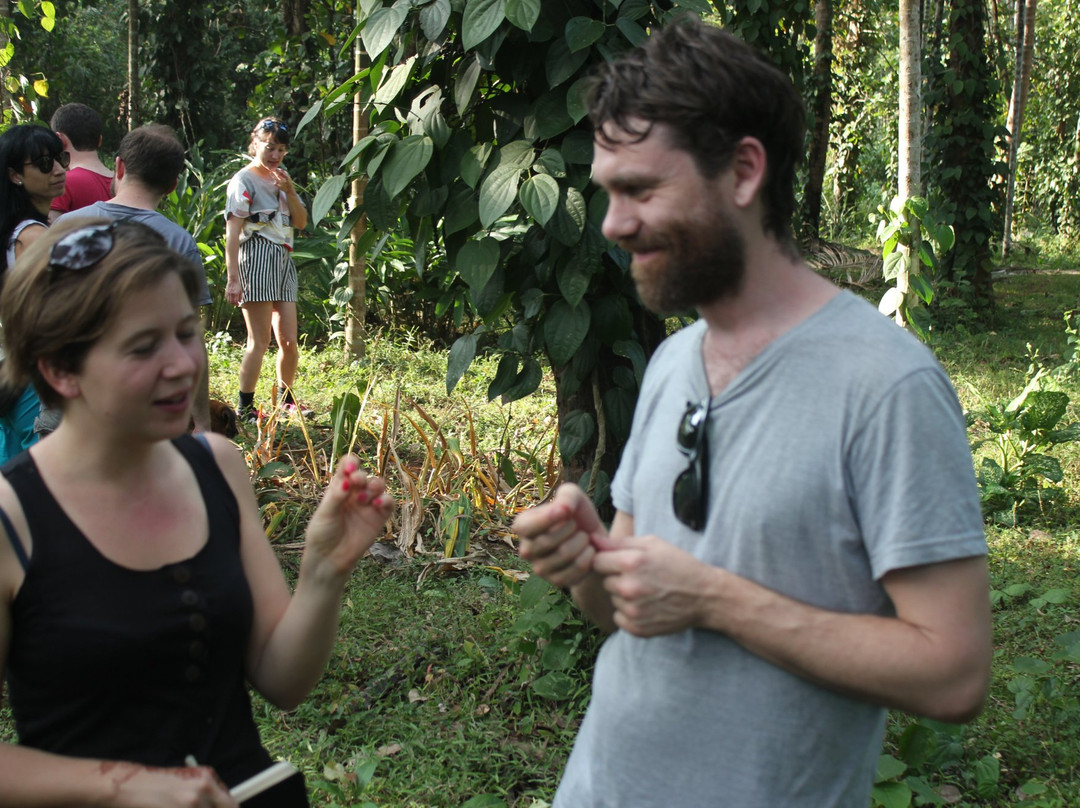 Dudhsagar Plantation-Mollem National Park必去景点