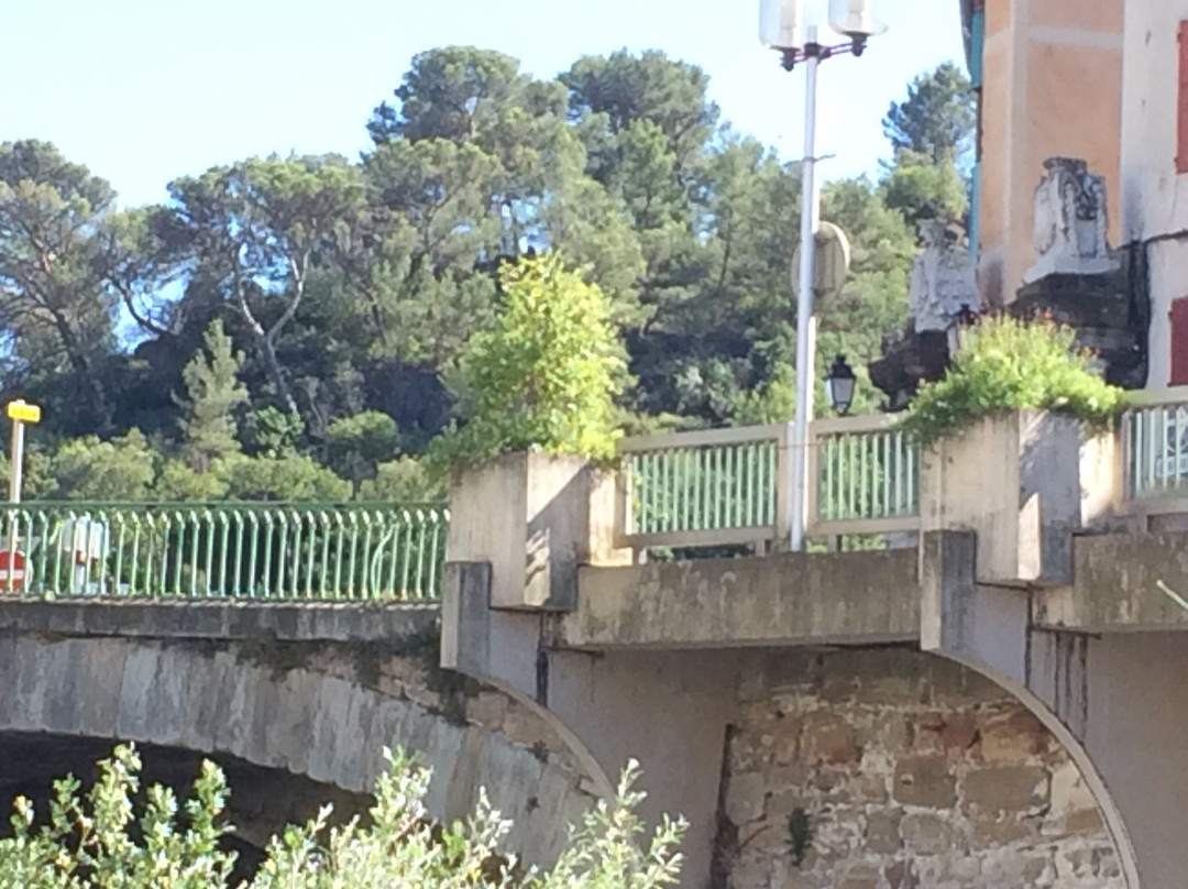 Pont de Montifort-洛代沃必去景点