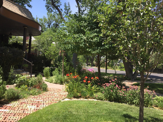 Rusted Poppy Inn主图