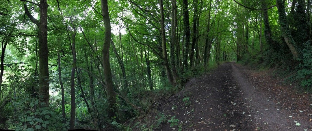 Moss Valley Country Park景点图片