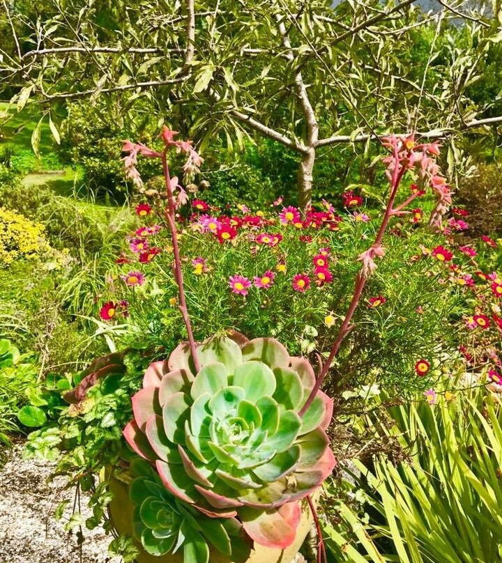 Tyburn Monastery-Bombay必去景点