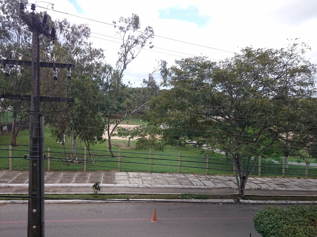 Parque da Crianca景点图片