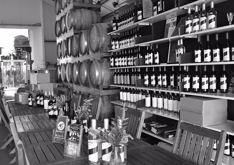 Casley Mount Hutton Winery景点图片
