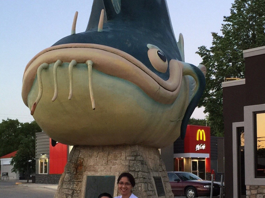 Chuck The Channel Catfish-Selkirk必去景点