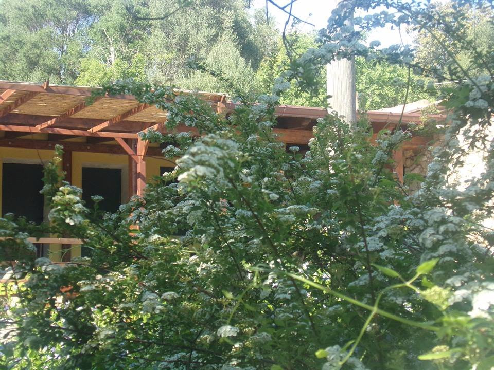 Sa Castangia餐馆和美食-Agriturismo L'Olivastro