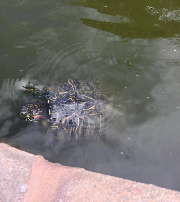 Paseo Arts District-俄克拉何马城必去景点