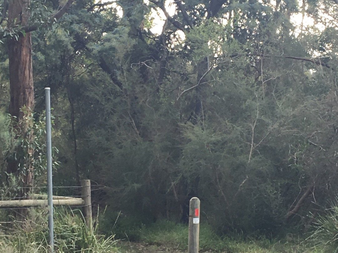 Cheong wildflower Sanctuary-Croydon必去景点