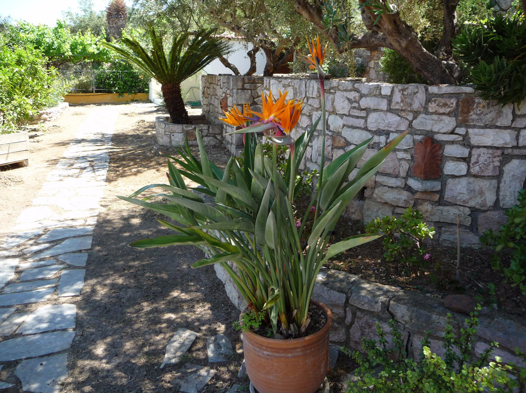 Pelagia Apartments
