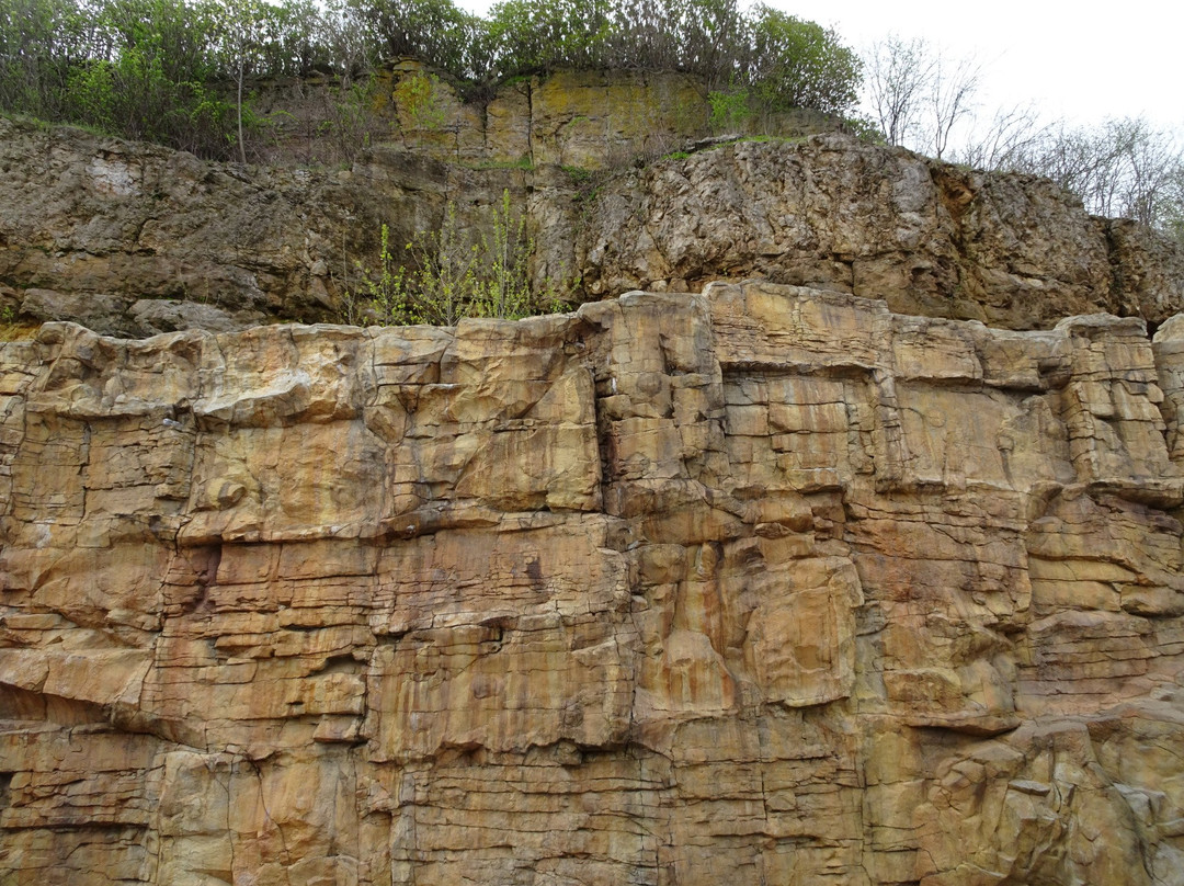 Teddy Bear Park-斯蒂尔沃特必去景点