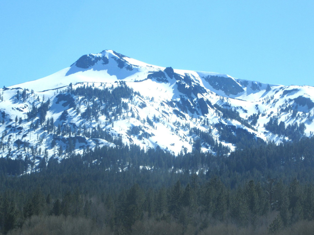 Eldorado National Forest-普莱瑟维尔必去景点