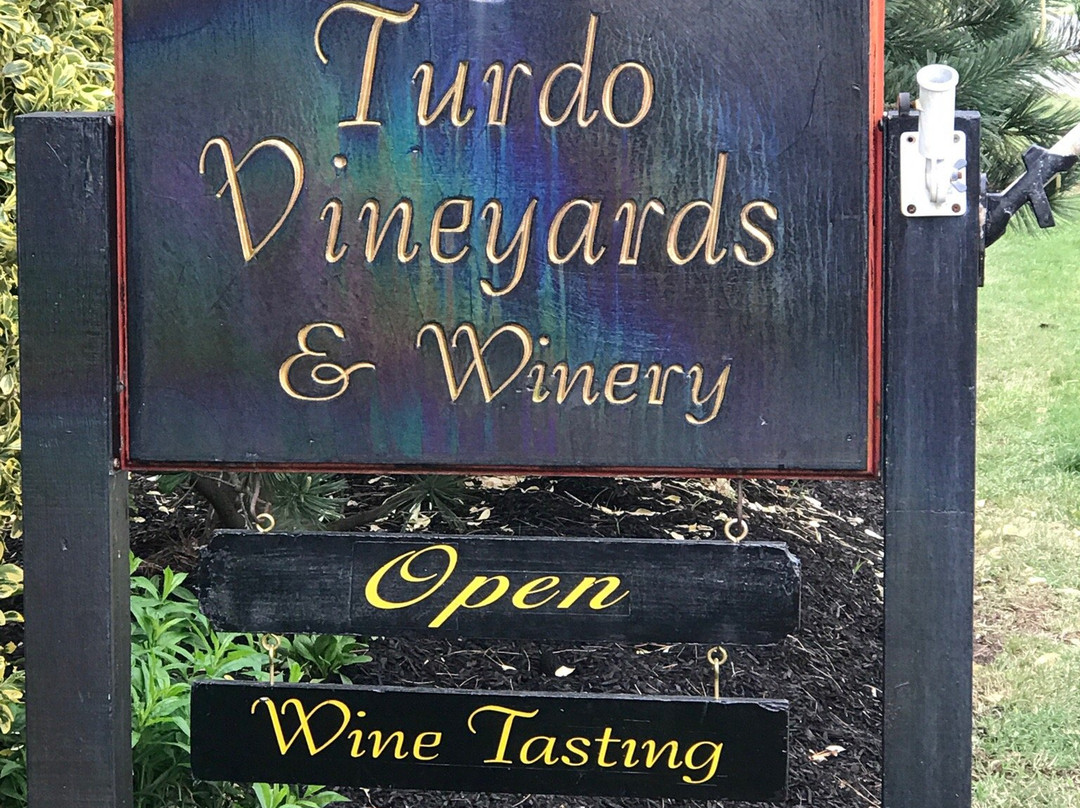 Turdo Vineyards & Winery景点图片