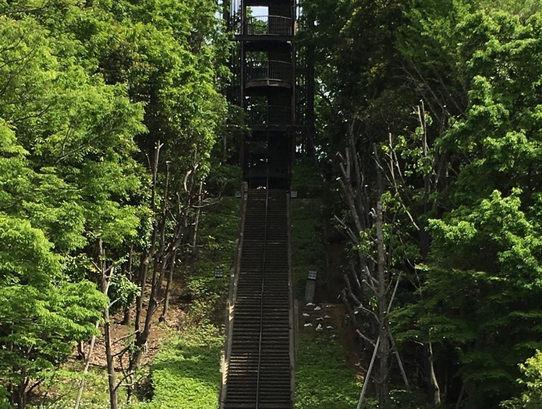 Shiroyama Park景点图片