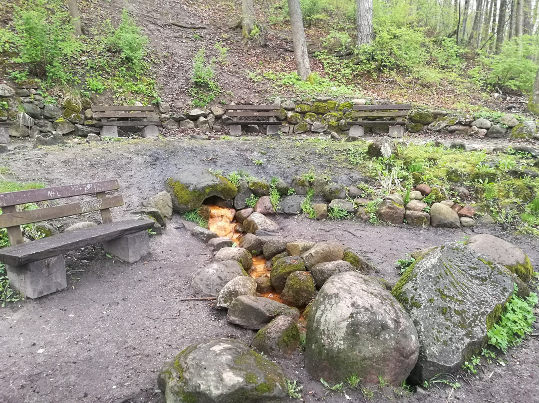Source of Love - Educational and scenic trail景点图片