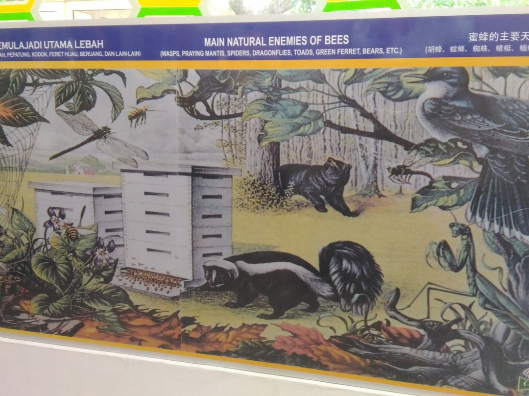 Bee Gallery Melaka-马六甲必去景点