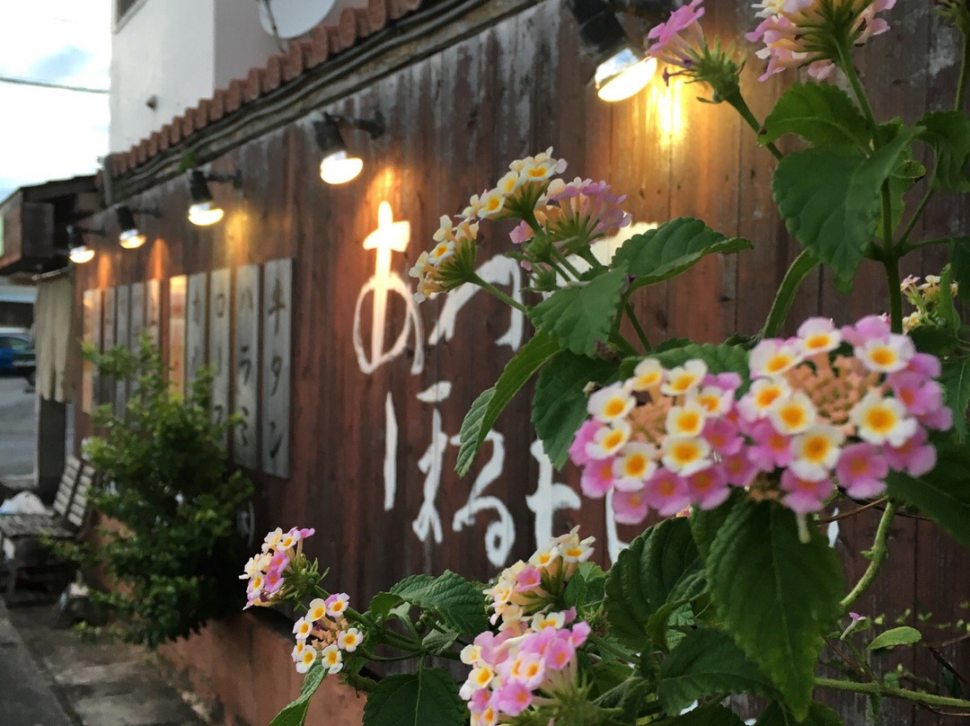 焼肉 ホルモン あわせほるもん