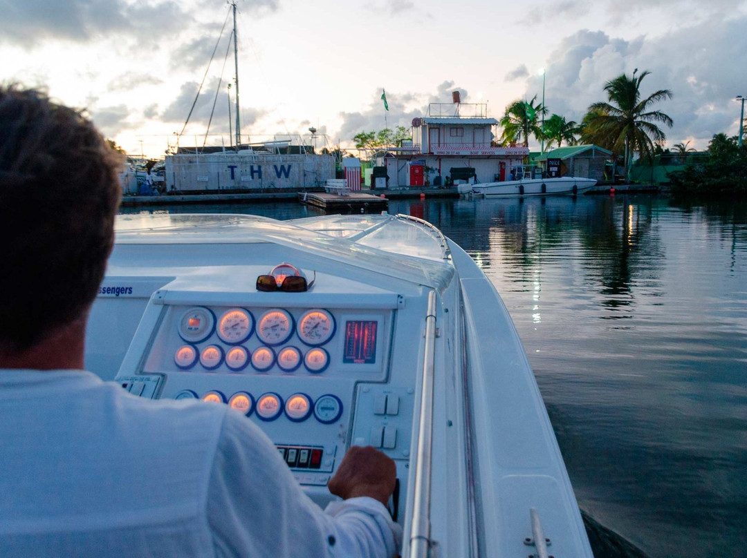 Sonic Xperience-辛普森湾必去景点