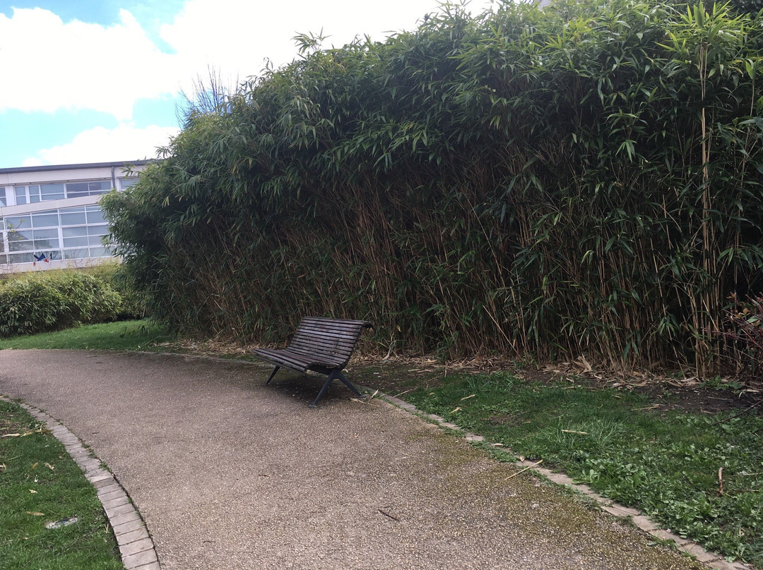 Jardin des Artistes景点图片