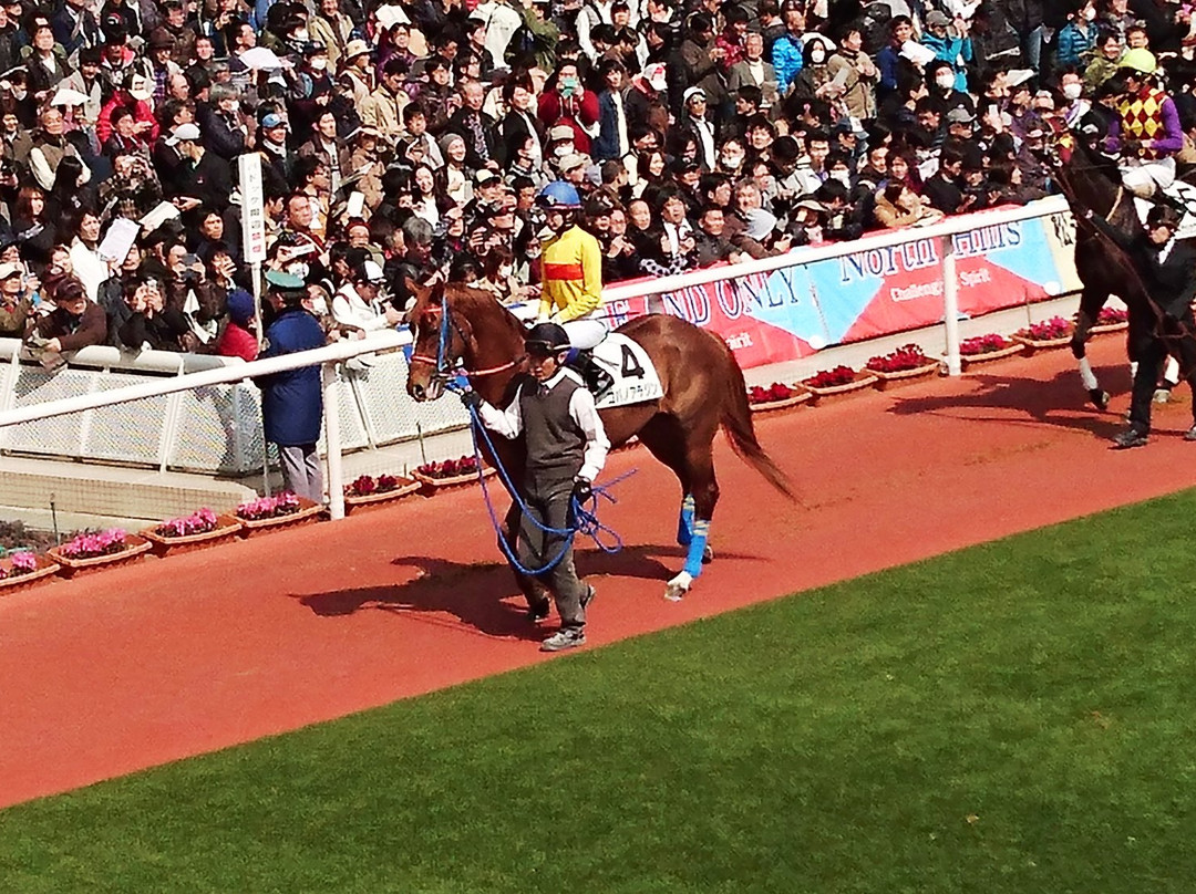 Hanshin Horse Racetrack-宝冢市必去景点