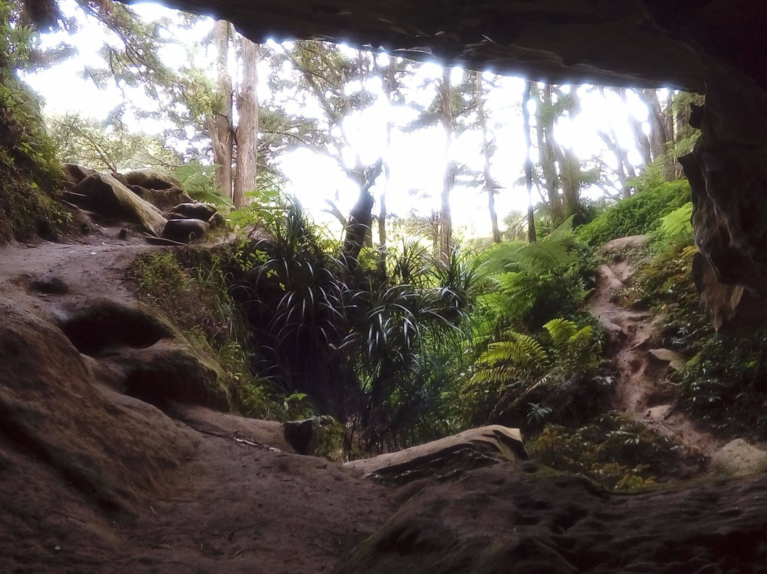 Waipu Caves Track景点图片