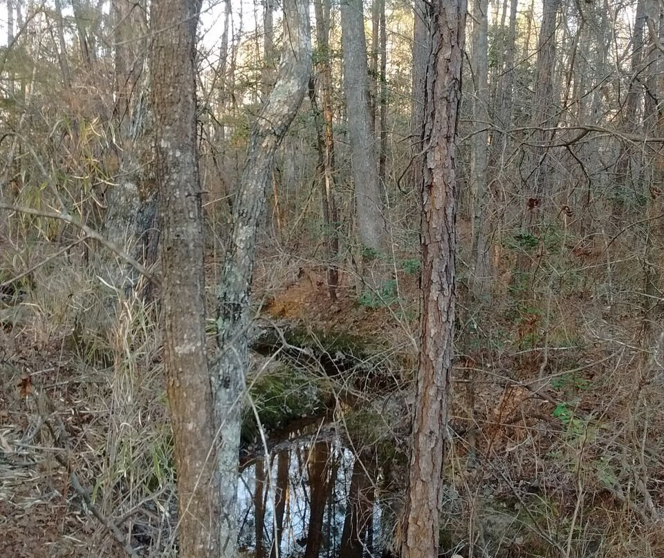 Birkhead Mtn Wilderness景点图片