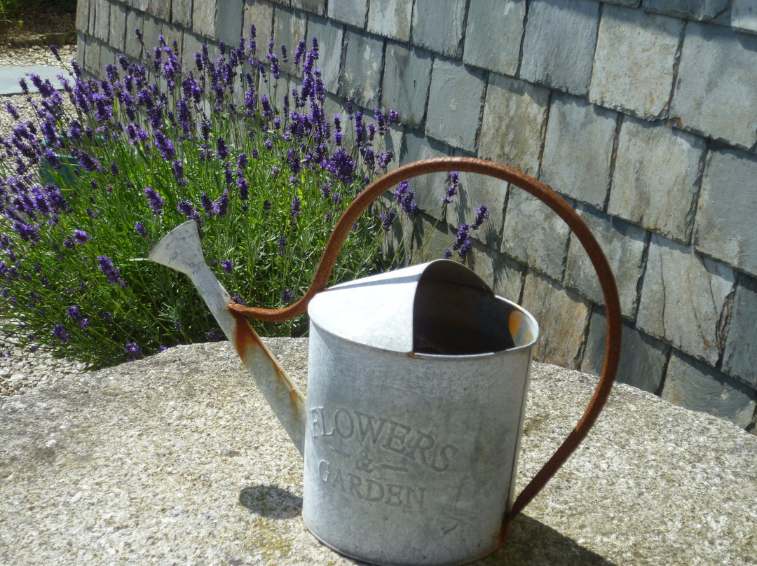 Corran Farm Bed & Breakfast主图