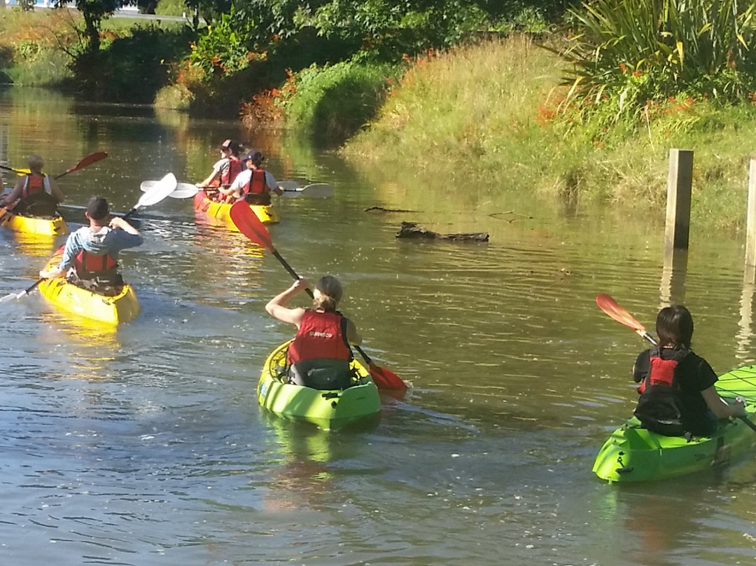 Hibiscus Kayak Hire-奥克兰中心地区必去景点