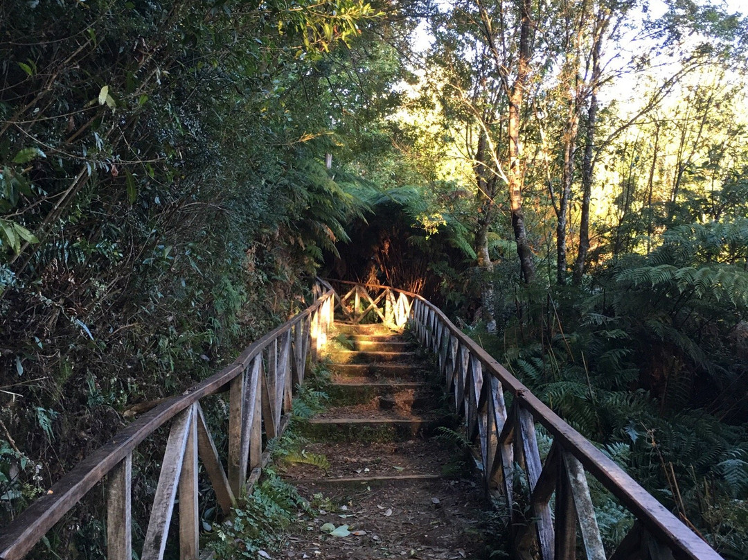 Mirador Chaiten-Chaiten必去景点