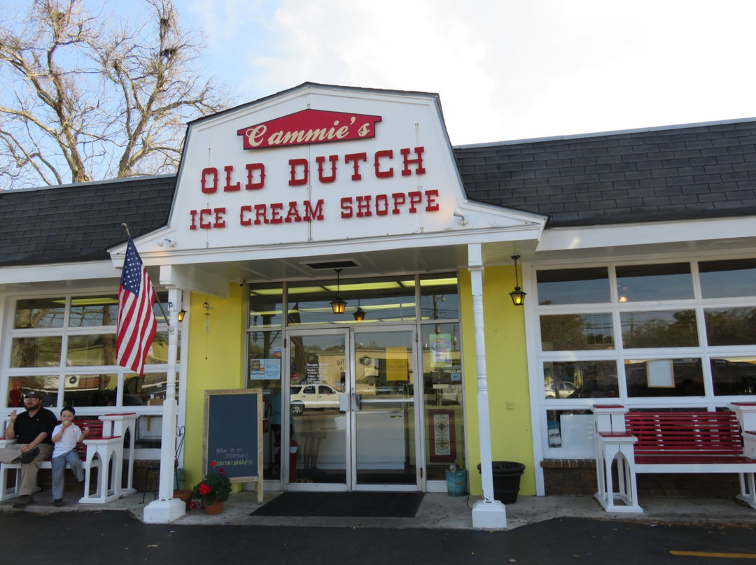 Cammie's Old Dutch Ice Cream