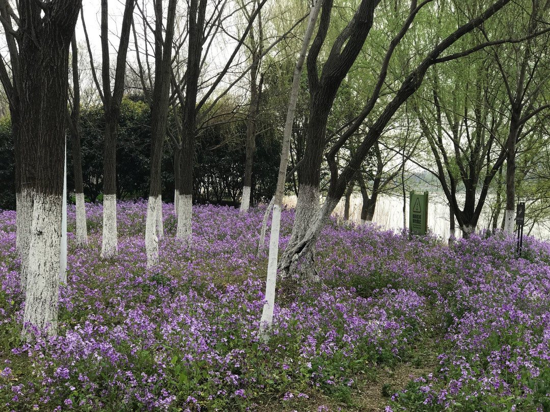绿博园-南京市必去景点