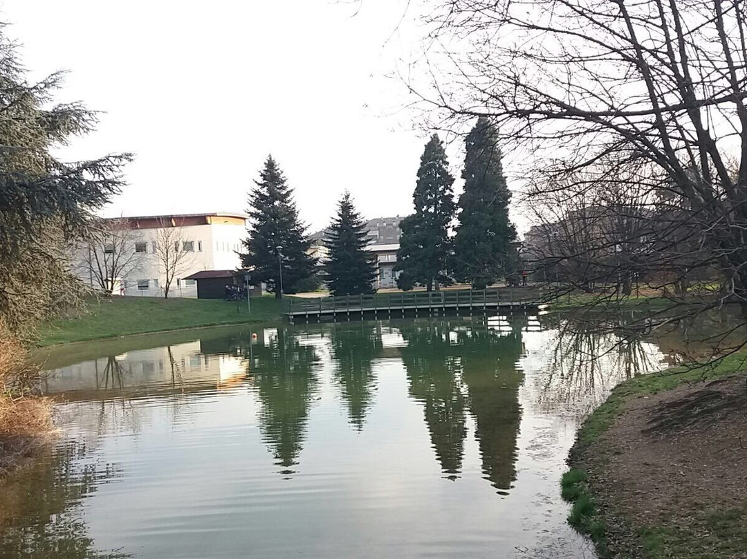 Parco Aldo Moro景点图片