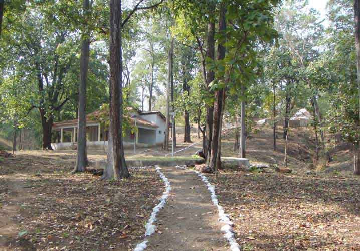 Vansda National Park景点图片